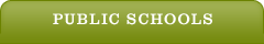 Active Tab - Public Schools